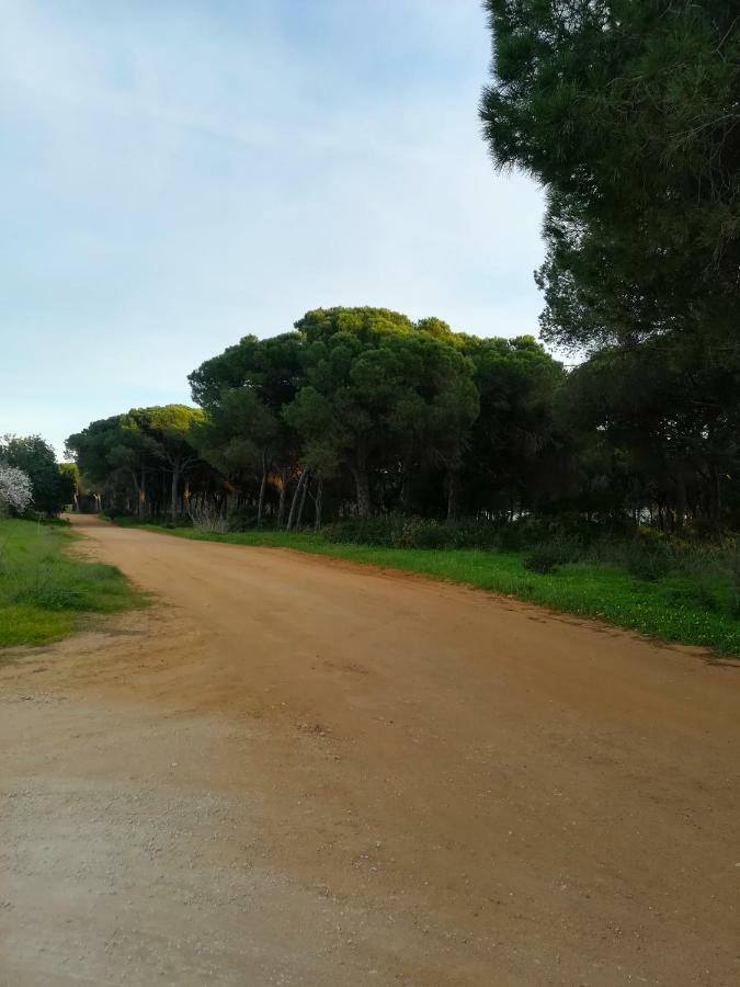 Quinta Das Palmeiras Quarteira Esterno foto